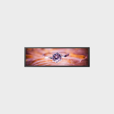 19.5 ίντσες LCD οθόνη 1920*536 700nits LVDS LCD οθόνη υψηλή αντι-δονήσεις