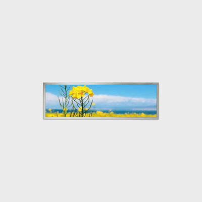 19.4 ίντσες Τύπος μπάρας LCD οθόνη 1920*510 LVDS 500nits