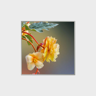 33.2 ίντσες τετραγωνική οθόνη LCD 420nits LVDS LCD μονάδα για εμπορικά κέντρα