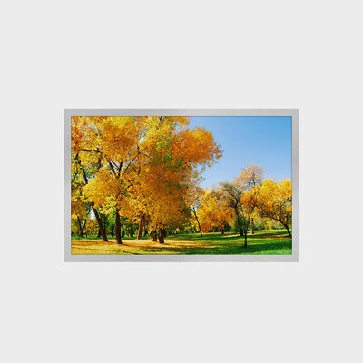 12.1 ίντσες TFT LCD οθόνη με ανάλυση 1280*800 16:9 LVDS Inerface 1500nits