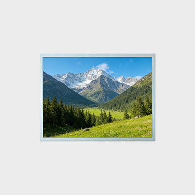 Οθόνη TFT LCD 15 ιντσών με ανάλυση 1024*768 υποστήριξη -30~80°C Λύση