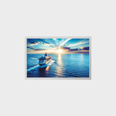 Λύση TFT LCD 12,1 ιντσών για βιομηχανική εφαρμογή με προσαρμογή