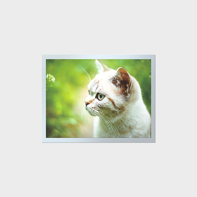 LCD 15 ιντσών υψηλής φωτεινότητας TFT μεγάλης διάρκειας ζωής για βιομηχανικούς πίνακες οργάνων