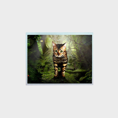 12.1 ίντσες LCD οθόνη υψηλής φωτεινότητας 1024 * 768 LVDS 1000 Nits για το σταθμό λεωφορείων