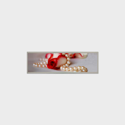 19.4 Inch Bar LCD Panel 1920*510 LVDS 1000 Nits Screen για εμπορική σήμανση