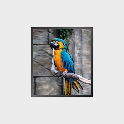 Υψηλής αντίθεσης τετραγωνικό LCD πάνελ 35,6 ιντσών 950*1080 500nit Με σύστημα Android