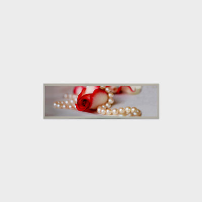 19Λύση οθόνης LCD 0,4 ίντσες με 1000 νιτ υποστήριξη φωτεινότητας Εξωτερική εφαρμογή