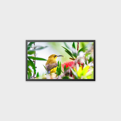Διαφημιστική οθόνη TFT LCD 32 ιντσών Λύση υψηλής φωτεινότητας 4000 nits