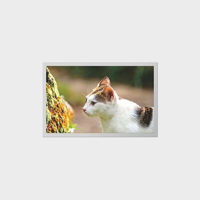 Οθόνη TFT 12,1 ιντσών με LCD χαμηλής κατανάλωσης ενέργειας για φορητές ιατρικές συσκευές