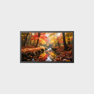 18.5 Inch LCD Panel Hight Brightness 2500nits LCMA-RX0185GB09-Z250